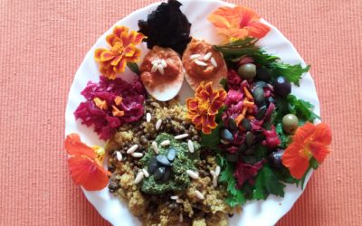 Ayurvedic Nutrition and Lifestyle Coaching